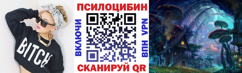 где продают Приозерск это как зайти Псилоцибиновые грибы Cubensis